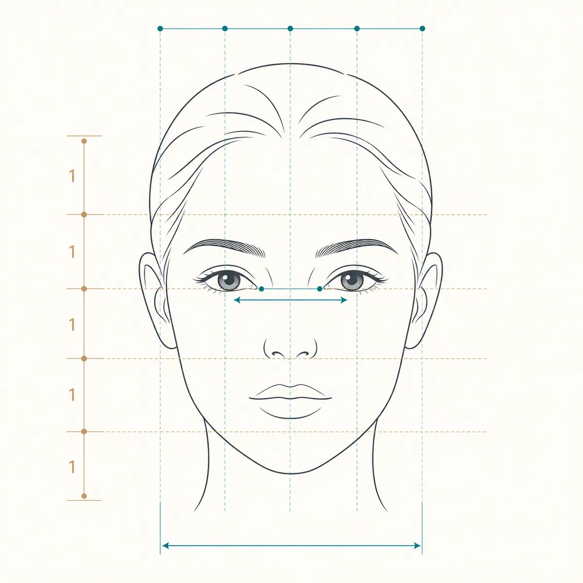 Guía de Proporciones Faciales: cómo leer el equilibrio del rostro sin buscar perfección - facial fifths diagram
